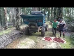 WEA08 รถแทรกเตอร์น้ำมันปาล์ม