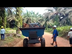 เครื่องเก็บเกี่ยวน้ำมันปาล์มแบบ Open Cab 1325 มม. น้ำหนัก 1250 กก. พร้อมหัวคีบ