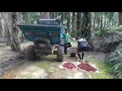 เครื่องเก็บเกี่ยวน้ำมันปาล์มแบบ Open Cab 1325 มม. น้ำหนัก 1250 กก. พร้อมหัวคีบ