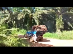 ระบบไฮดรอลิก เครื่องลากน้ํามันปาล์มสําหรับการสกัดน้ํามันปาล์มที่มีประสิทธิภาพ